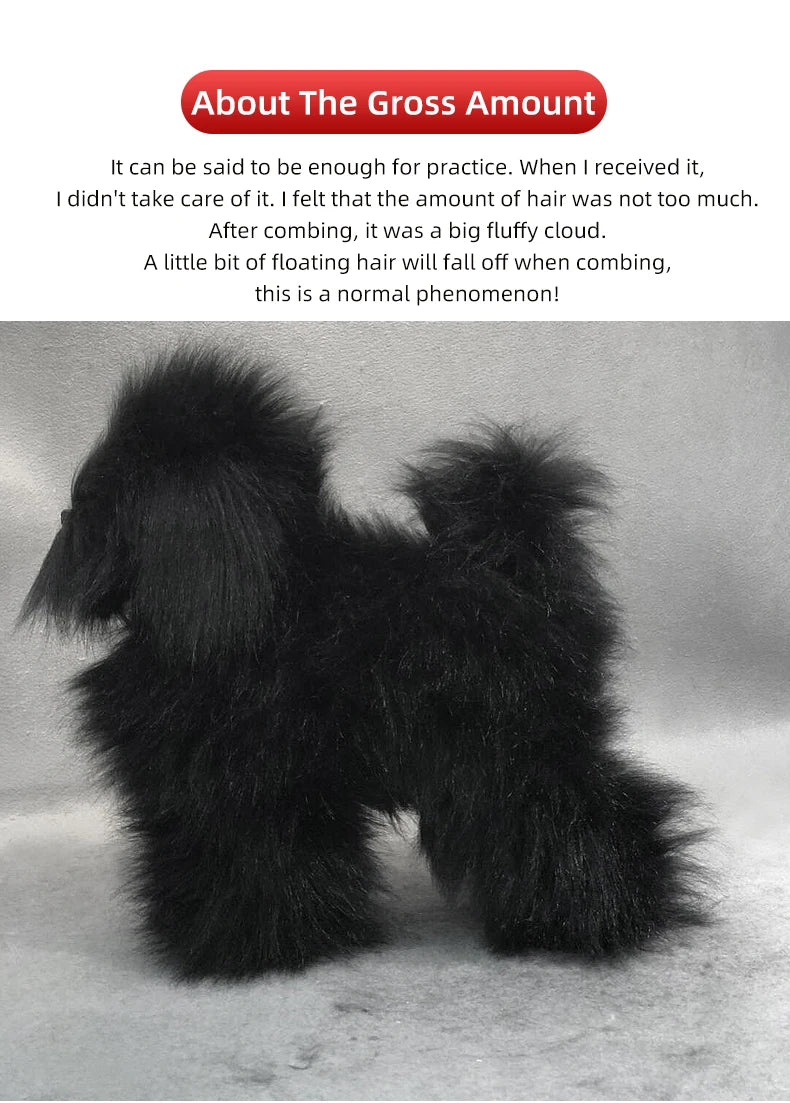 Professional pet grooming model dog for grooming practice dog standard skeleton model dog pet simulator model