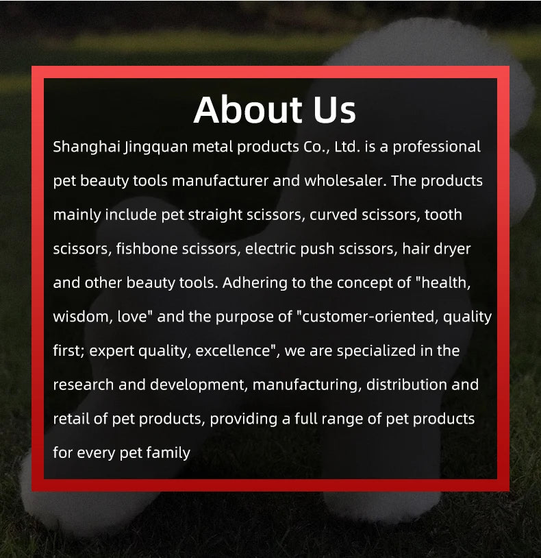 Professional pet grooming model dog for grooming practice dog standard skeleton model dog pet simulator model